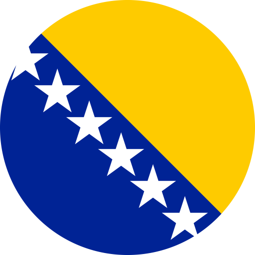 Bosnia and Herzegovina Flag